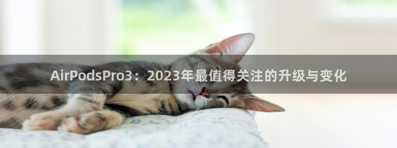 尊龙凯时·人生就是搏