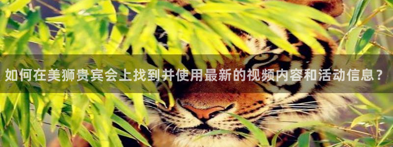 尊龙人生就是搏z6