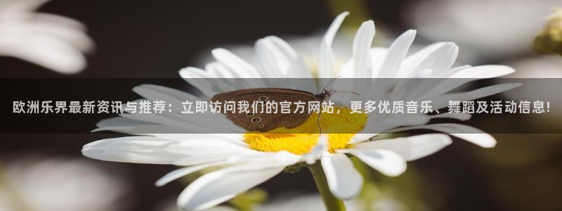 人生就是搏代理加盟