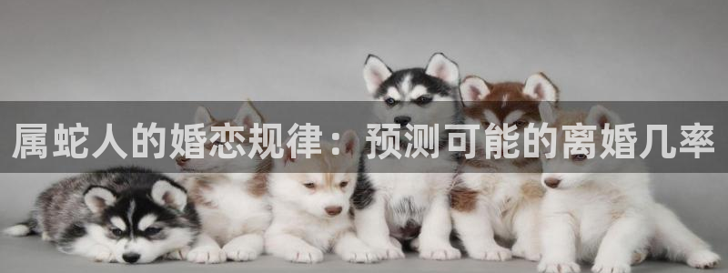 尊龙人生就是搏