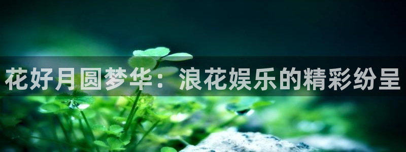尊龙时凯人生就是搏官网登录