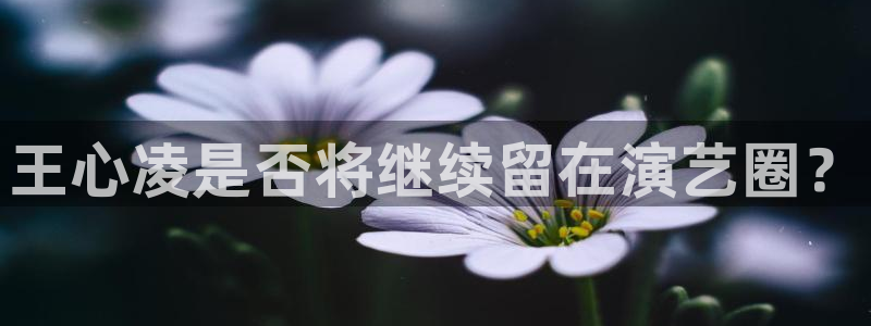 人生就是搏