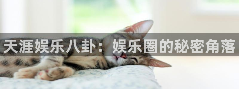 尊龙凯时人生就是搏官网