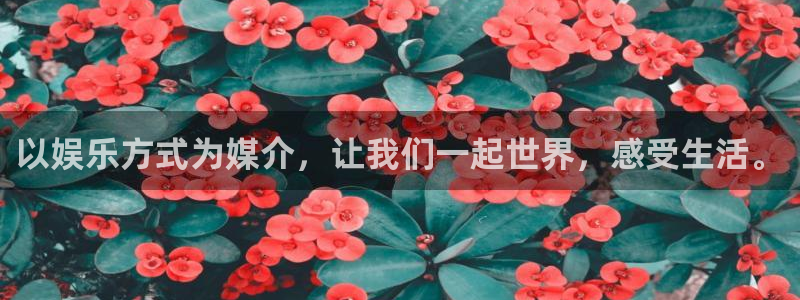 凯时人生就是搏