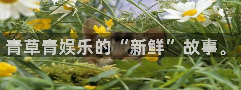 尊龙凯时人生就是搏平台