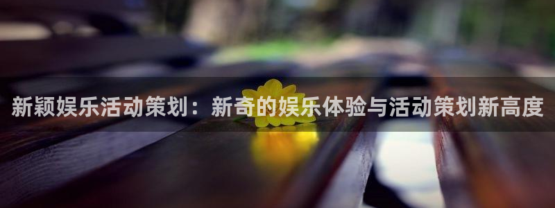 尊龙人生就是搏：新颖娱乐活动策划：新奇的娱乐体验与活动策划新高度