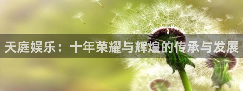 凯龙尊时一人生就是搏：天庭娱乐：十年荣耀与辉煌的传承与发展