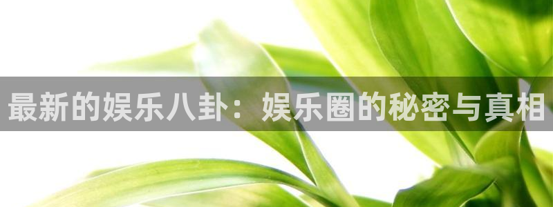尊龙时凯人生就是搏官网：最新的娱乐八卦：娱乐圈的秘密与真相