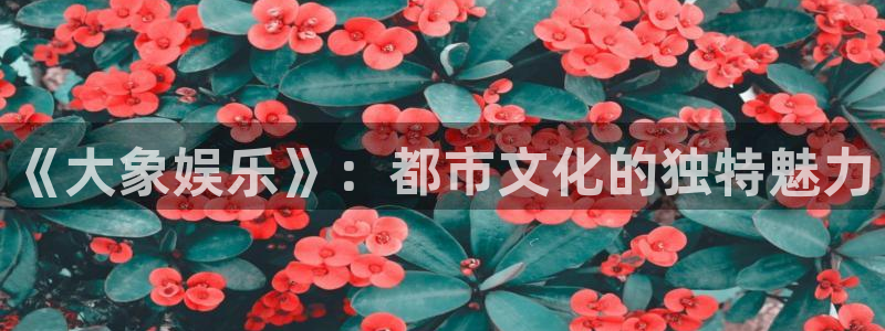 尊龙凯时人生就是搏：《大象娱乐》：都市文化的独特魅力