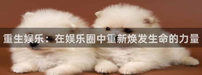 人生就是搏尊龙：重生娱乐：在娱乐圈中重新焕发生命的力量