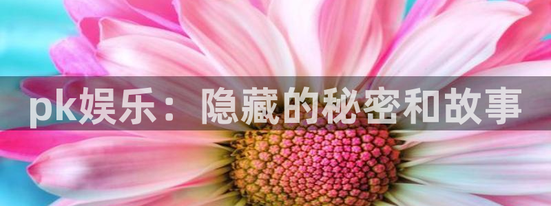 尊龙时凯人生就是搏：pk娱乐：隐藏的秘密和故事